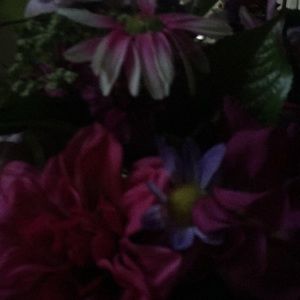 Meet your Posher, Royalty,R